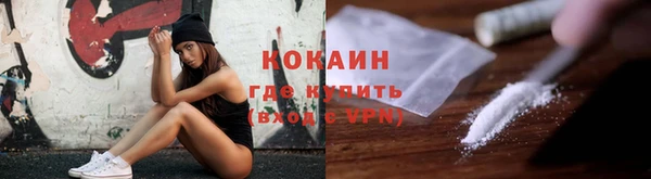 mdpv Богородицк