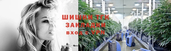 mdpv Богородицк