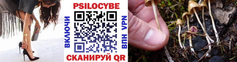 Псилоцибиновые грибы GOLDEN TEACHER  Малоярославец 